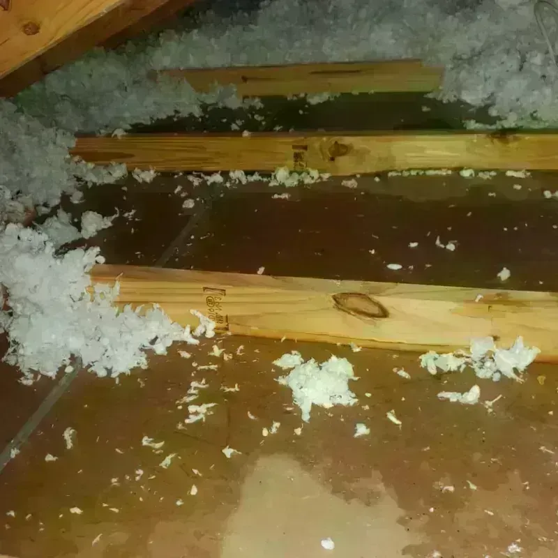 Attic Water Damage in Kearny, AZ