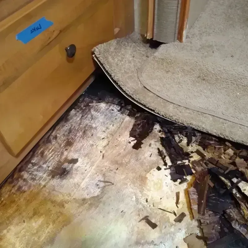 Wood Floor Water Damage in Kearny, AZ